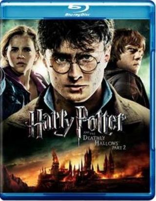 Download Harry Potter And The Deathly Hallows Part 2 In Hindi 720p Torrent File